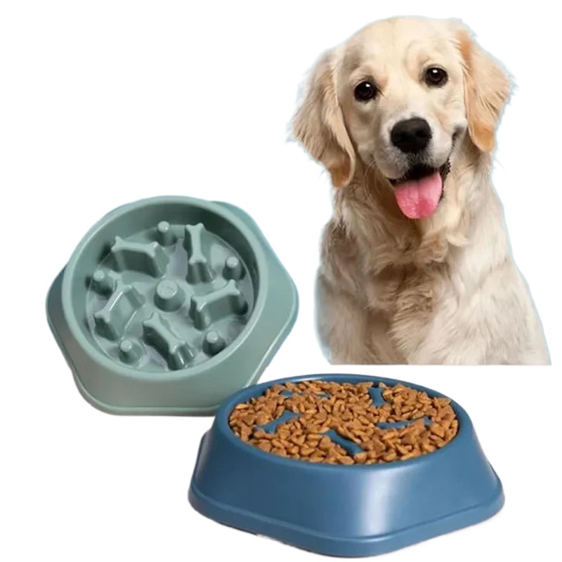 Miska dla psa z funkcją spowal – Royal Canin Food Medium recenzja i cena